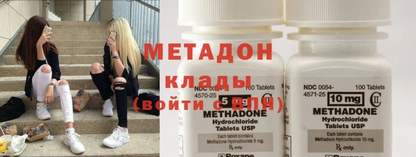шишки Дмитров