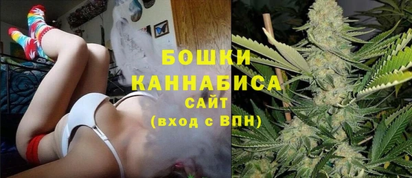 шишки Дмитров